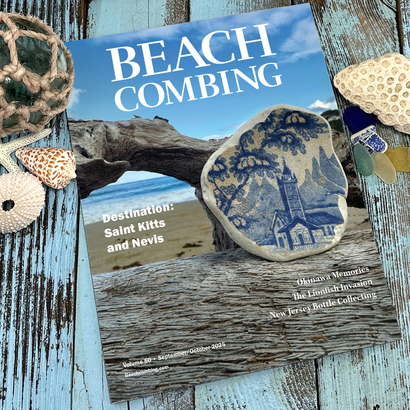 Beachcombing Magazine - Wholesale