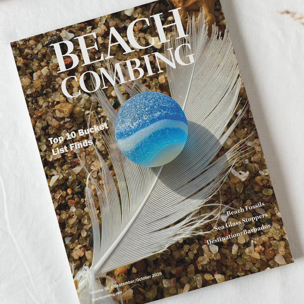 The Beach Library – Beachcombing Magazine