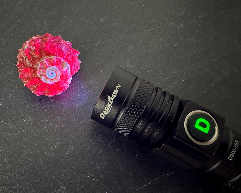 Beachcombing UV Flashlight
