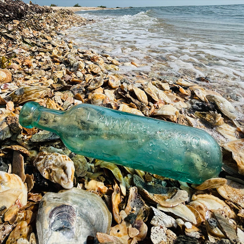 Beachcombing Volume 46: January/February 2025