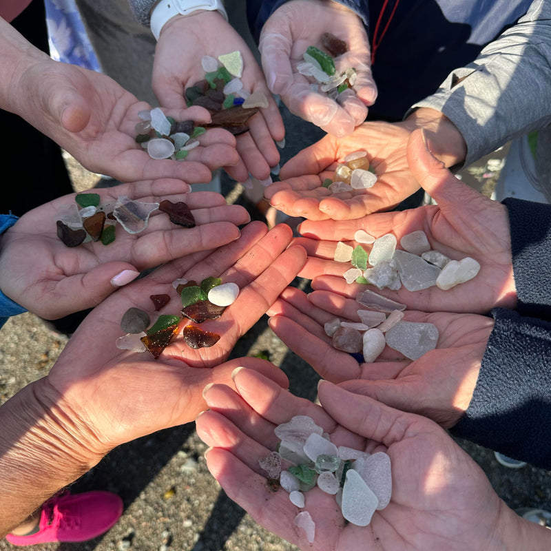 Beachcombing Volume 49: July/August 2025