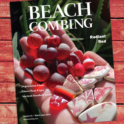 Beachcombing Volume 41: March/April 2024