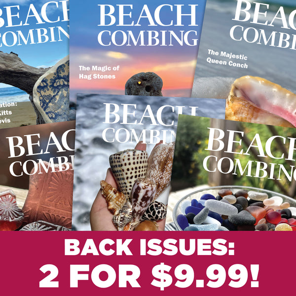 Back Issue Clearance Sale