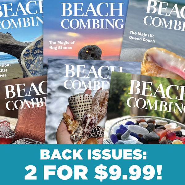 Back Issue Clearance Sale
