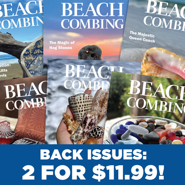 beachcomber (noun) – Beachcombing Magazine
