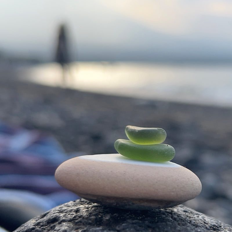Beachcombing Volume 40: January/February 2024