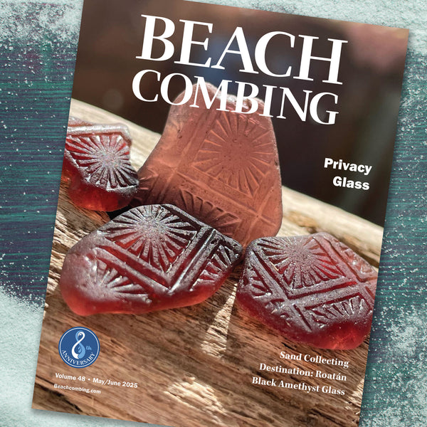 Do you know your Birthshell? – Beachcombing Magazine