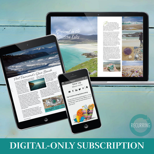 Beachcombing Digital-Only Subscription