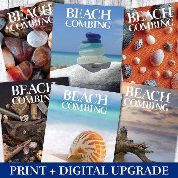 Upgrade to Print+Digital Subscription