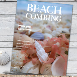 Beachcombing Volume 37: July/August 2023