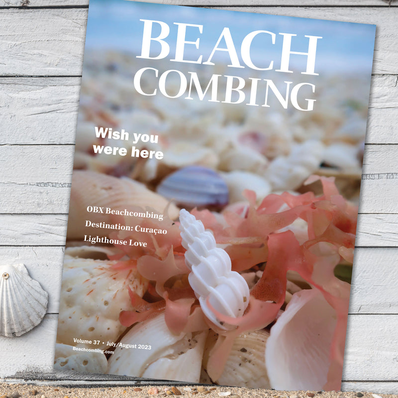 Beachcombing Volume 37: July/August 2023