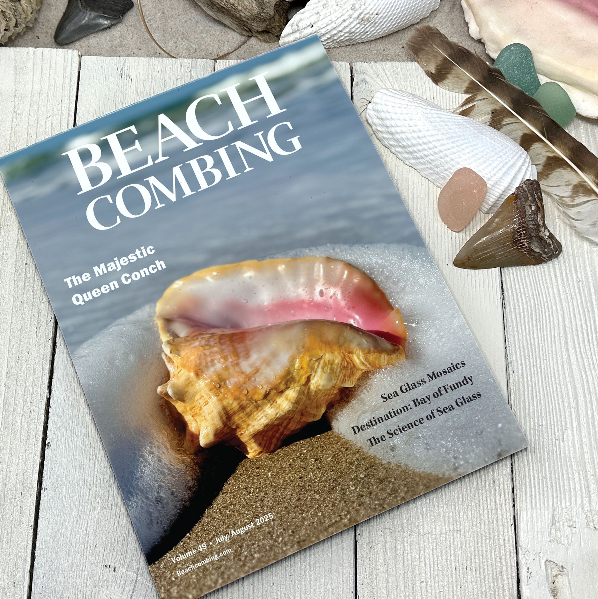 Beachcombing Volume 49: July/August 2025 – Beachcombing Magazine