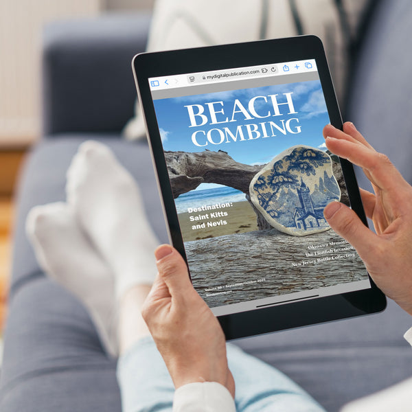 Beachcombing Issues - Digital Access