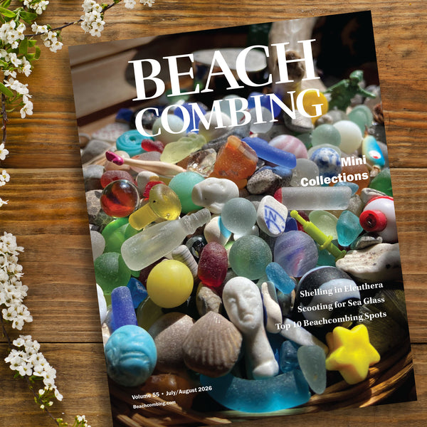 Beachcombing in Florida with SWF Beach Life – Beachcombing Magazine