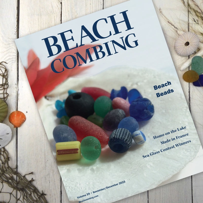 Beachcombing Volume 39: November/December 2023