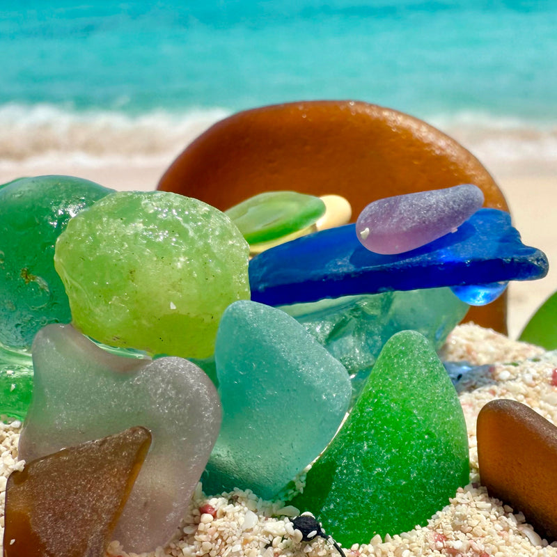 Beachcombing Volume 51: November/December 2025 - Coming Soon