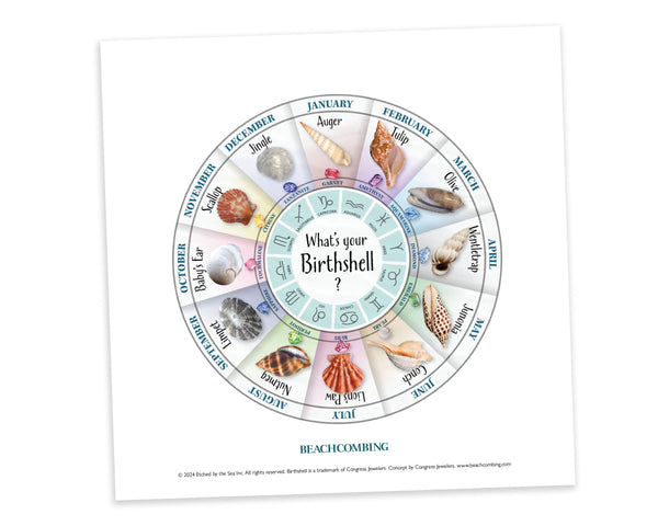 June Birth Month Shell Birth Shell Chart - Square Print – Beachcombing Magazine