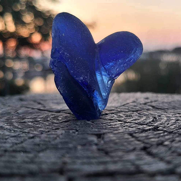 Beachcombing Volume 44: September/October 2024