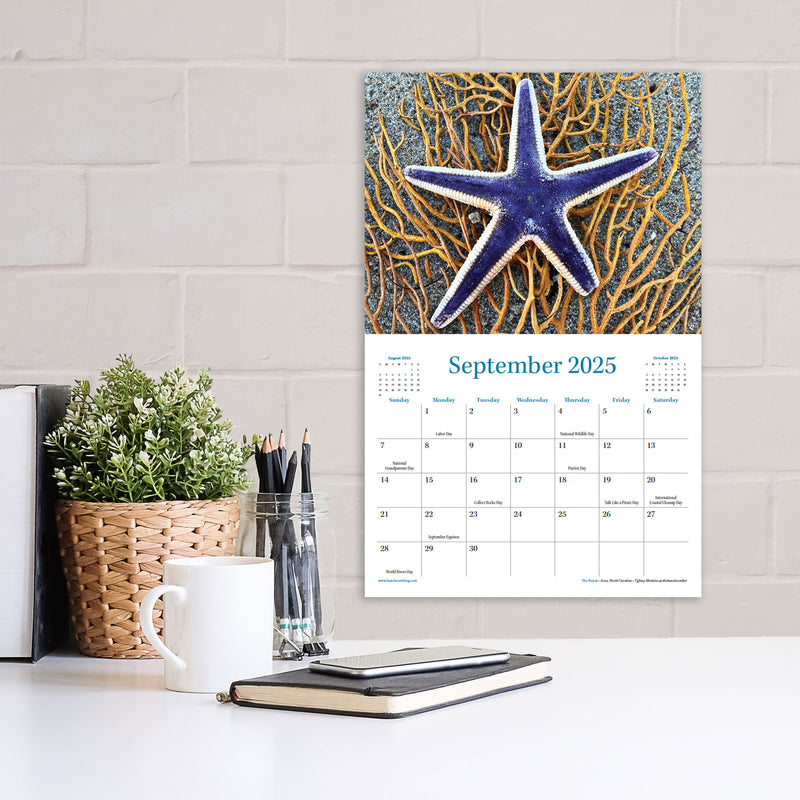 Beachcombing 2025 Calendar - BOGO