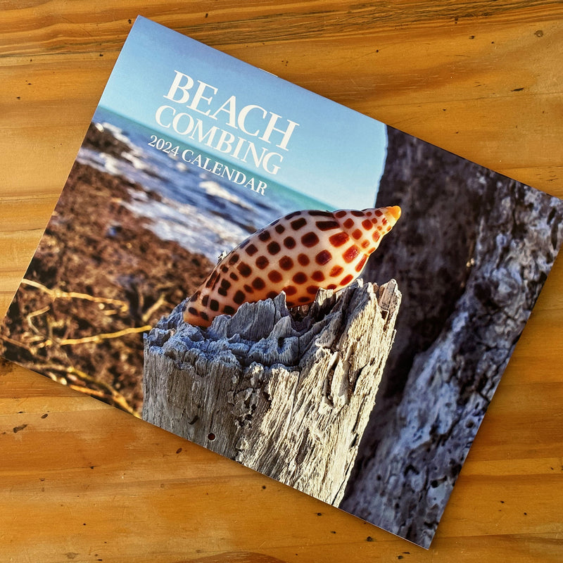 Beachcombing 2024 Calendar