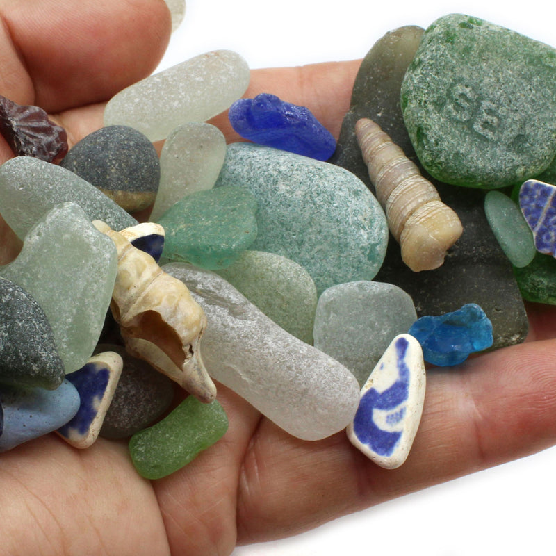 Beachcombing Volume 43: July/August 2024