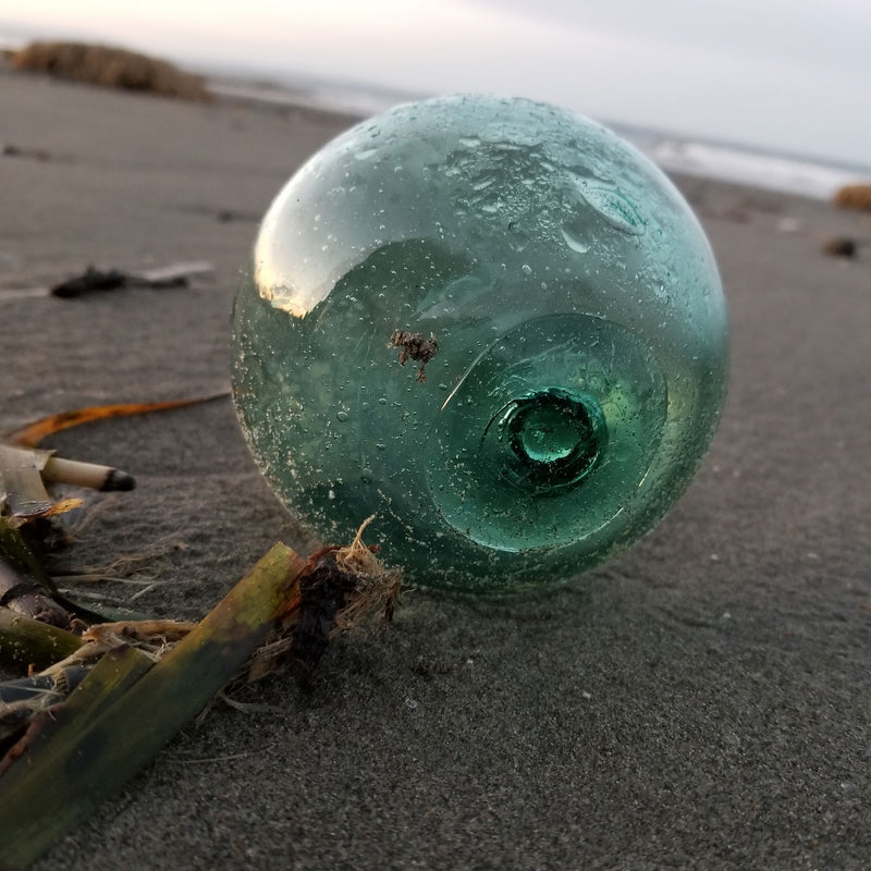 Beachcombing Volume 41: March/April 2024