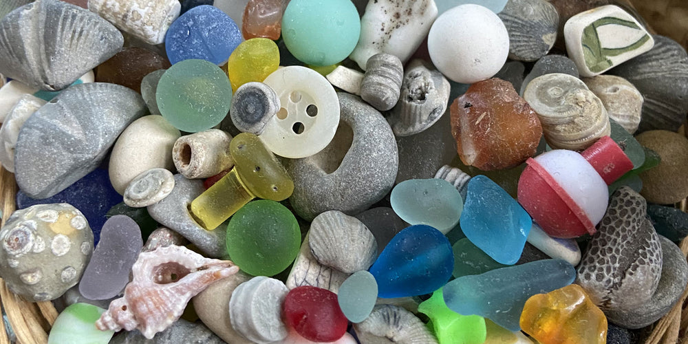 beach fossils and sea glass