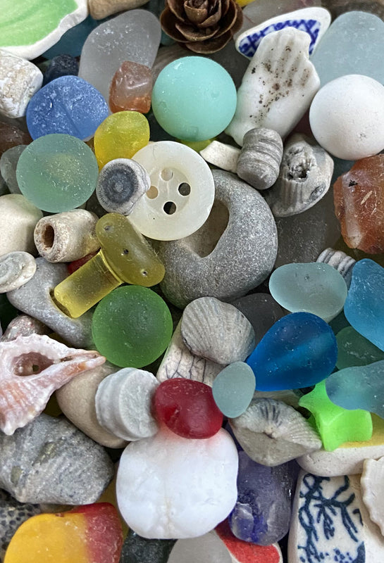 beach fossils and sea glass