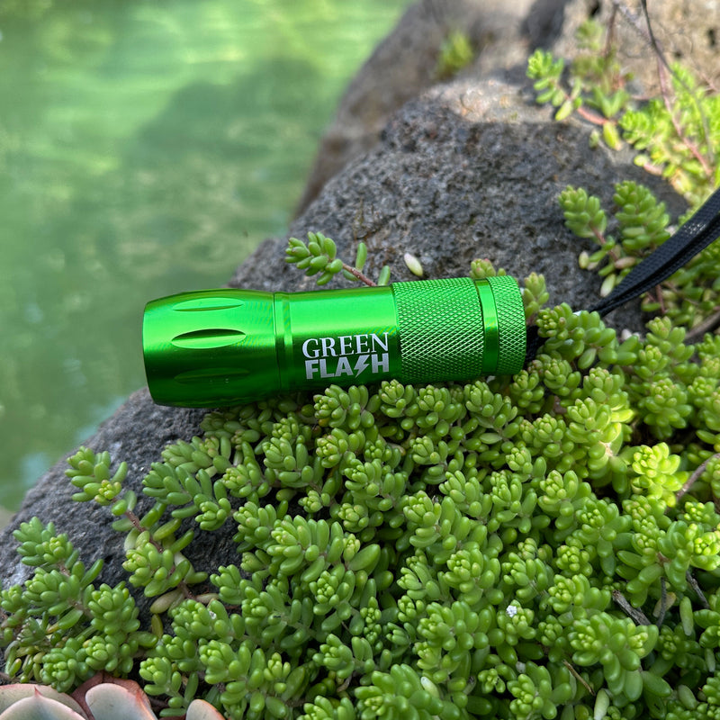 Green Flash Ultra-Bright Beachcombing Flashlight