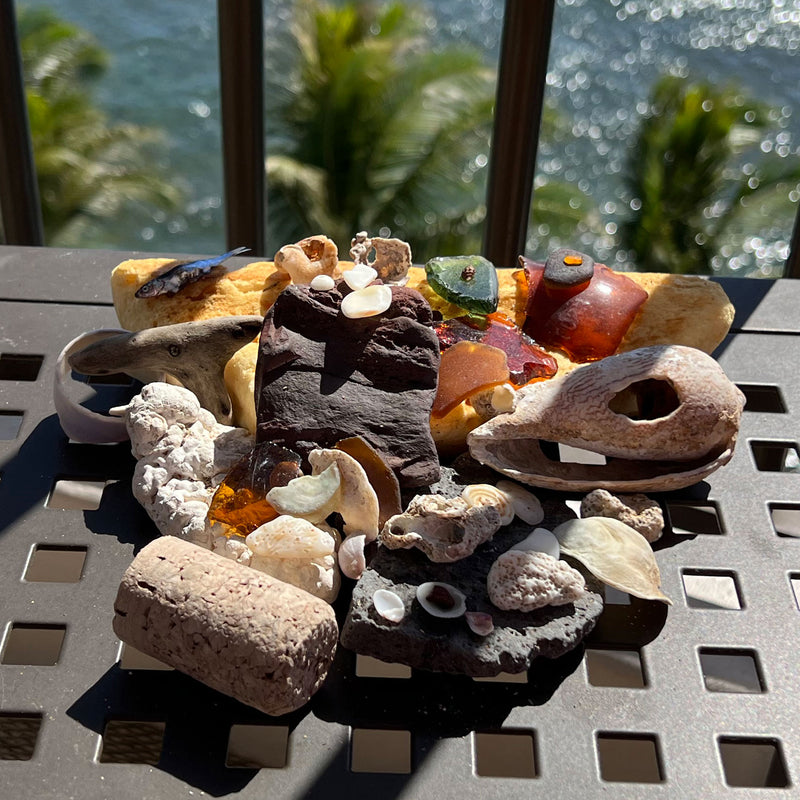 Beachcombing Magazine - Wholesale