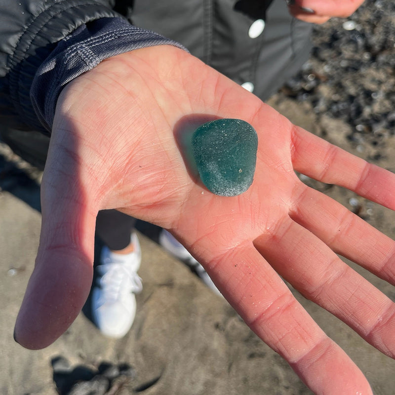 Beachcombing Volume 44: September/October 2024