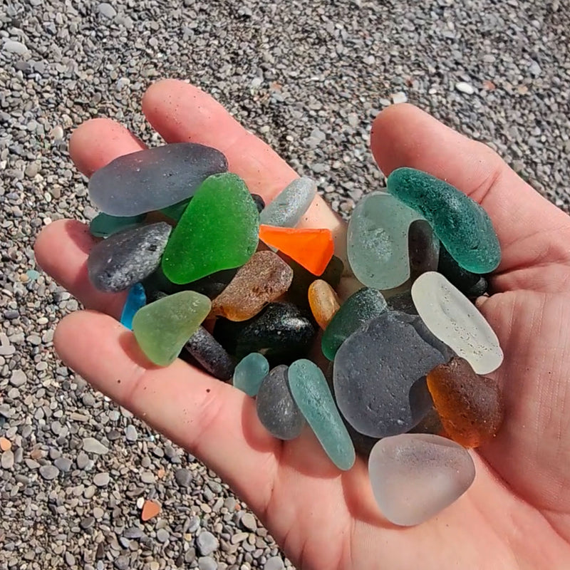 Beachcombing Volume 52: January/February 2026 - PRE-ORDER