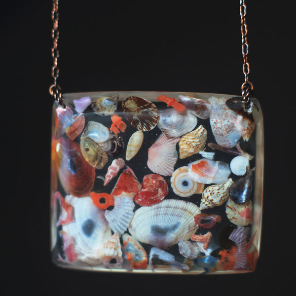 Beachcombing Volume 51: November/December 2025 - Coming Soon