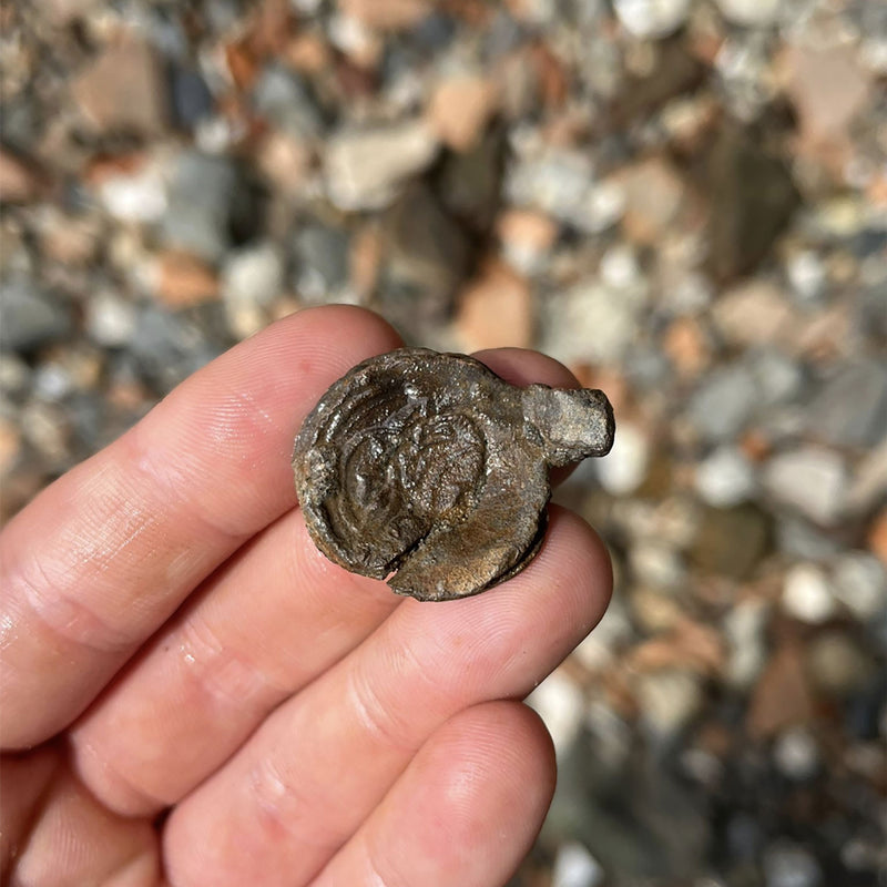 Beachcombing Volume 49: July/August 2025