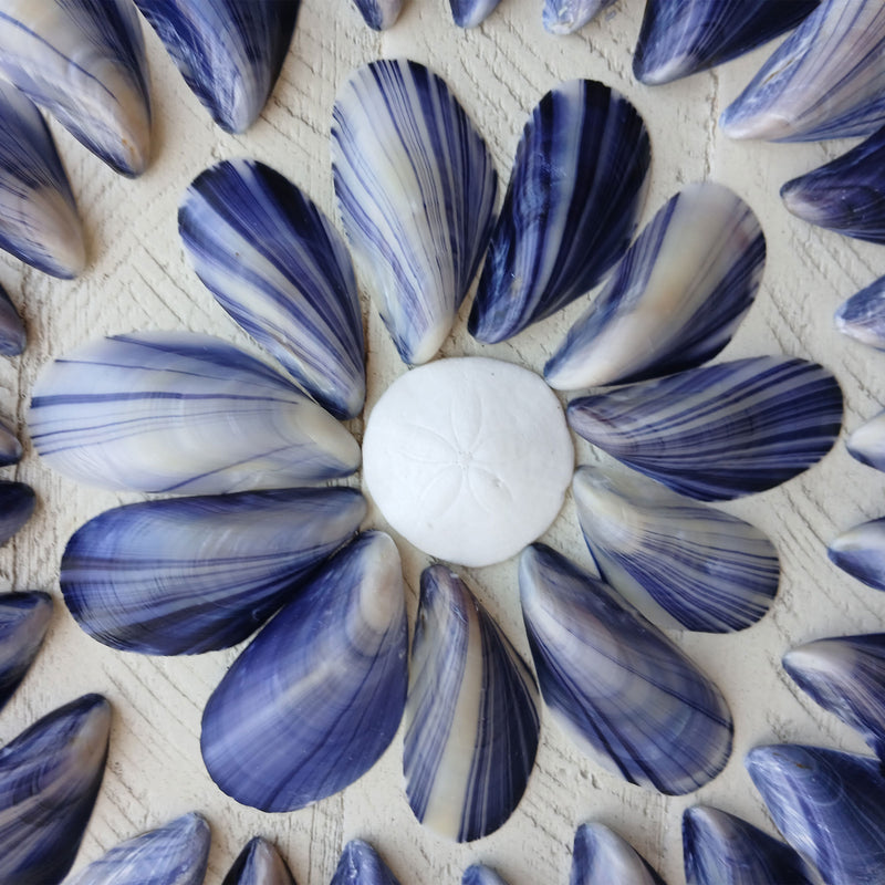 Beachcombing Volume 46: January/February 2025