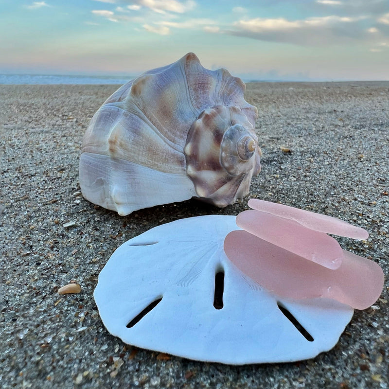 Beachcombing Volume 41: March/April 2024