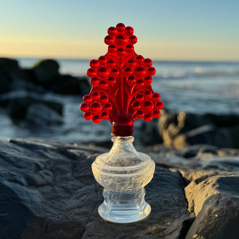 Beachcombing Volume 51: November/December 2025 - Coming Soon