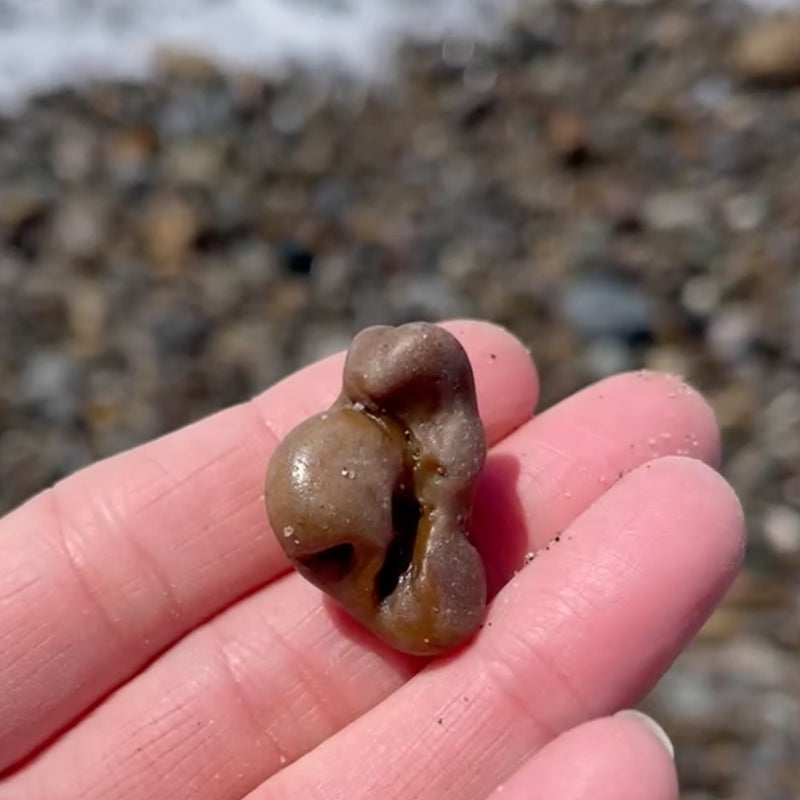 Beachcombing Volume 40: January/February 2024