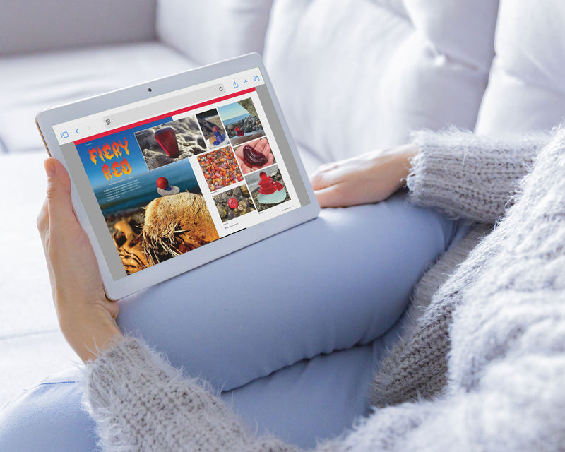 Beachcombing Volume 52: January/February 2026 - PRE-ORDER