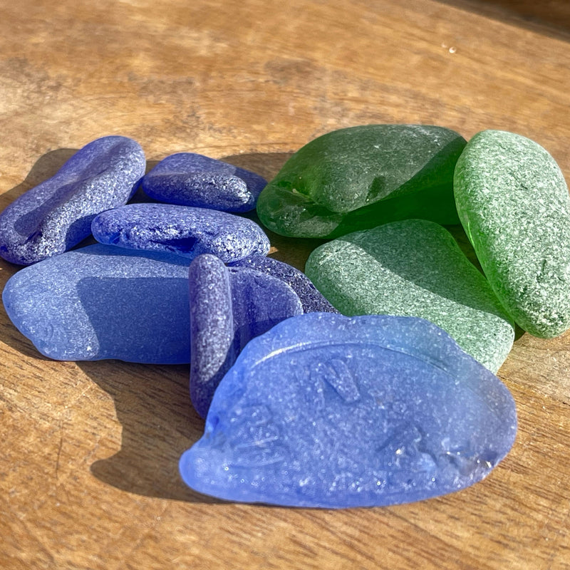 Beachcombing Volume 44: September/October 2024
