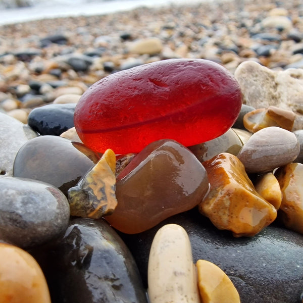 Beachcombing Volume 52: January/February 2026 - PRE-ORDER