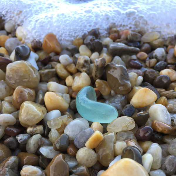 Beachcombing Volume 49: July/August 2025