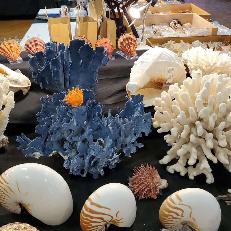 Beachcombing Volume 46: January/February 2025