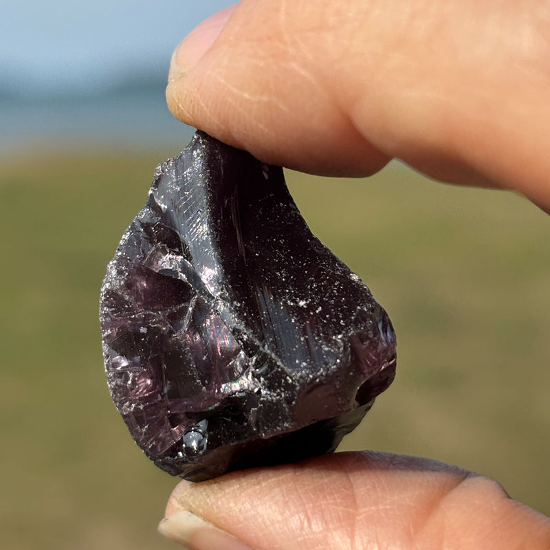 Beachcombing Volume 52: January/February 2026 - PRE-ORDER