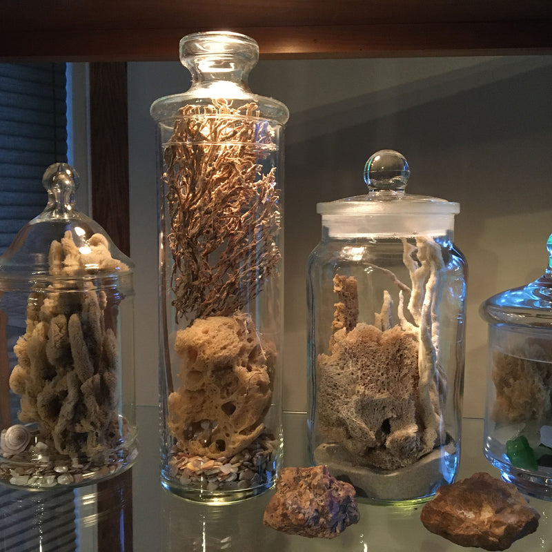 Beachcombing Volume 51: November/December 2025 - Coming Soon