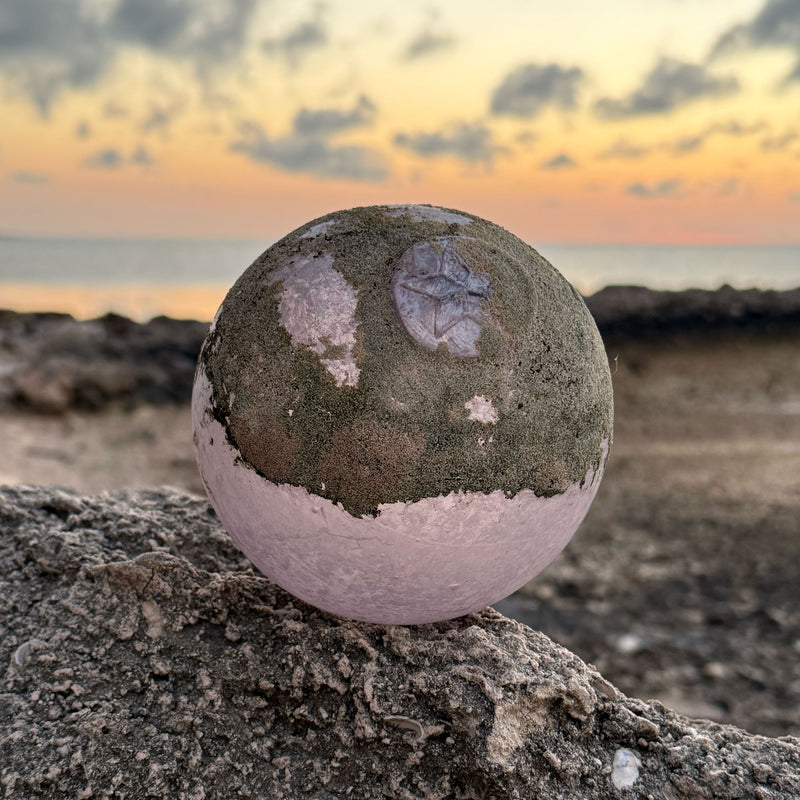 Beachcombing Volume 52: January/February 2026 - PRE-ORDER