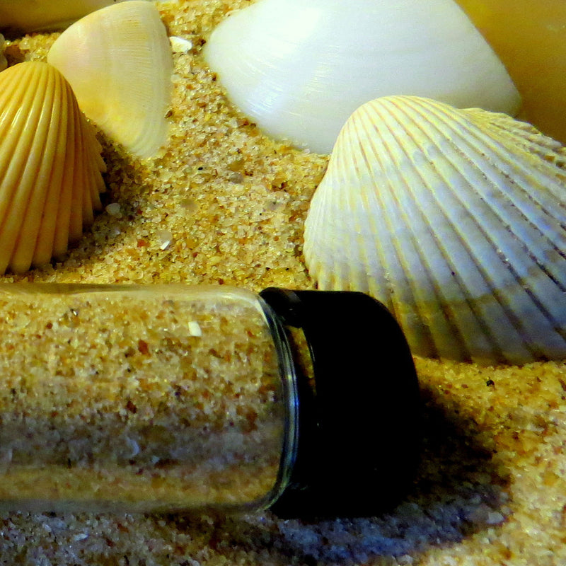 Beachcombing Magazine - Wholesale