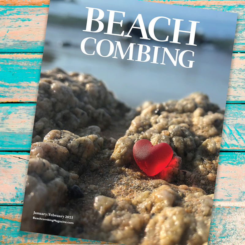 Beachcombing Volume 22: January/February 2021