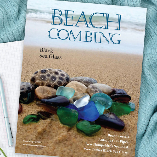 Beachcombing Volume 11: March/April 2019