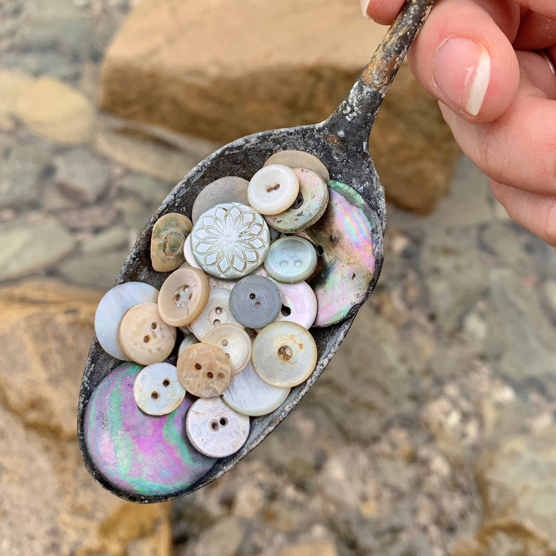 Beachcombing Volume 36: May/June 2023